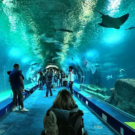 Piso Colon * Paiporta